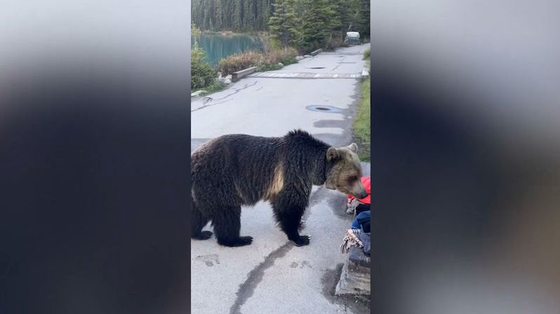 Překvapené turisty u kanadského jezera přivítal grizzly